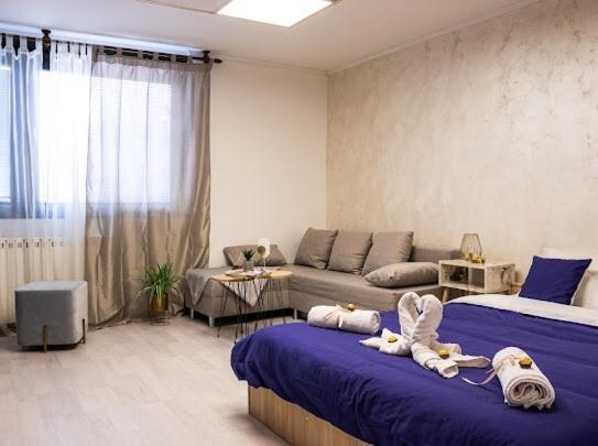 Center Cozy Apartment ซูโบติกา ภายนอก รูปภาพ